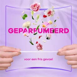 Best Always Daily Fresh Normal Fresh Scent Big Pack