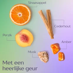 Online Andrélon Iedere dag shampoo 400 ML