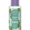 Hot Andrélon Pro Nature Rosemary Refresh Shampoo400 ML