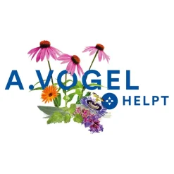 Sale A.Vogel Boldocynara Bij Misselijkheid En Opgeblazen Gevoel Tabletten 80 ST