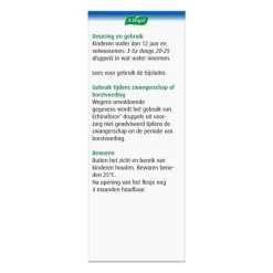 Hot A.Vogel Echinaforce Bij Onvoldoende Weerstand En Griep Druppels 100 ML