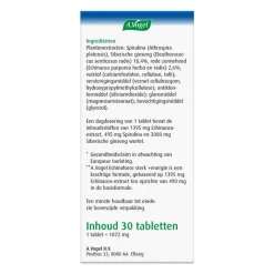 Clearance A.Vogel Echinaforce Sterk** Energie2* Tabletten 30 stuks