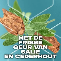 Outlet AXE Apollo Douchegel 250 ML