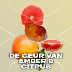 Outlet AXE Gold Temptation Deodorant Body Spray 150 ML