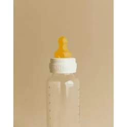 Best Bibs Babyfles 270 ML Sage met Latex speen en opvouwbaar trechtertje