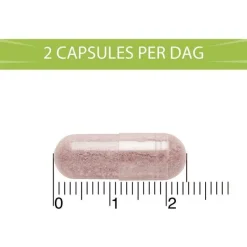 Outlet BlaseBerry 100 capsules