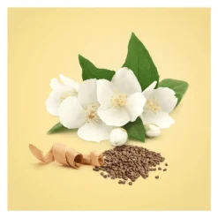 Outlet Calvin Klein Beauty eau de parfum 50 ML