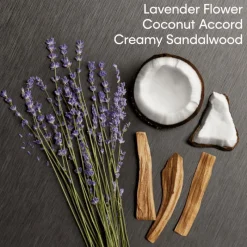 Online Calvin Klein Eternity Aromatic Essence Eau de Parfum for Women 50 ML