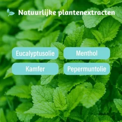 Best Dampo 2-in-1 Inhaler 2 ML