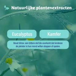 Best Dampo Inhalatiepleisters 6 pleisters