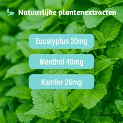 Best Dampo Verkoudheidsbalsem 30 gram