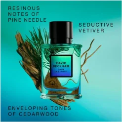 Online David Beckham True Instinct eau de parfum 50 ML