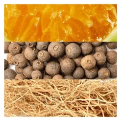 Outlet Davidoff Adventure eau de toilette 100 ML