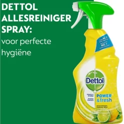 Online Dettol Spray Citrus 500 ML