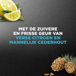 Clearance Dove Men+Care Clean Comfort Douchegel Mini 55 ML