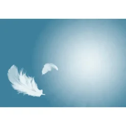 Dr. Swaab E.J. Swaab Verzorgende Aambeiendoekjes