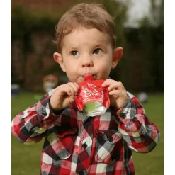 Best Ella's Kitchen Fruit Smoothie The Red One Bio Knijpfruit 6+ Maanden 90 GR