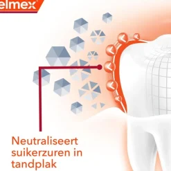 Online Elmex Anti Caries Professional Ortho Tandpasta - 75ML