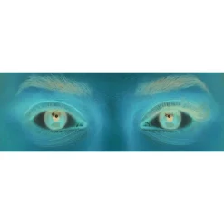 Hot Eylure Volume & Curl Voluminous Wimper Clusters