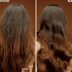 Discount Garnier Loving Blends Argan Camelia Haarmasker 340 ML