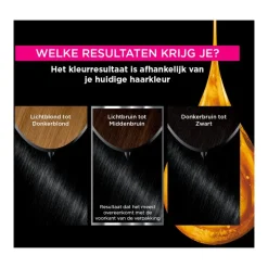 Clearance Garnier Olia Permamente Haarverf 2.0 Black Diamond 2.0 - Black Diamond