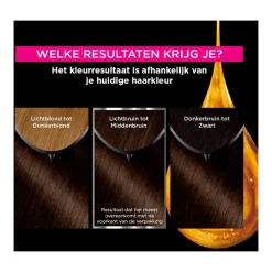 Online Garnier Olia Permanente Haarverf 4.0 Bruin