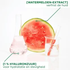 Online Garnier SkinActive Ampul Sheet Masker Met Watermeloen & Hyaluronzuur