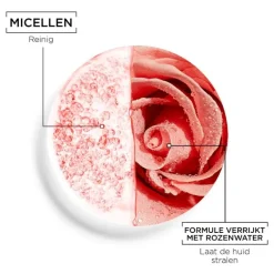 Best Garnier SkinActive Micellair Reinigingswater met Rozenwater 400 ML