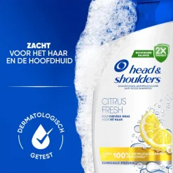 Online Head and Shoulders Head & Shoulders Citrus Fresh Anti-Roos Shampoo 300 ML