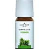 Hot Jacob Hooy Essentiele Olie Dennen 10 ML