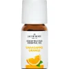 Outlet Jacob Hooy Essentiële Olie Sinaasappel 10 ML