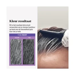 Discount Just For Men Touch of Grey T55