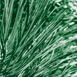 Outlet Kneipp Men 2-in-1 Nature Feeling Douchegel 200 ml