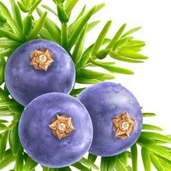 Online Kneipp Muscle Soothing Badkristallen 600 GR