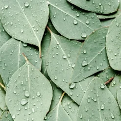 Sale Kneipp Refreshing Badkristallen 600 GR