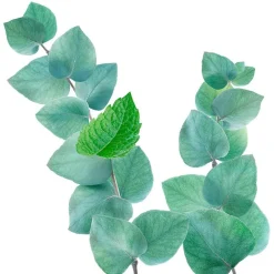 Best Kneipp Refreshing Douchefoam 200 ML