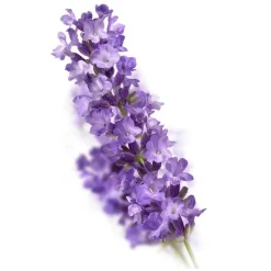 New Kneipp Relaxing Douchefoam 200 ML