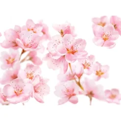 Online Kneipp Soft Skin Badschuim 400 ML