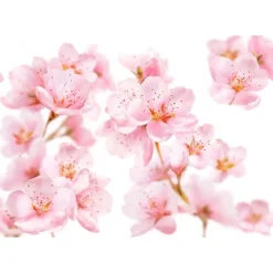 Hot Kneipp Soft Skin Bodylotion 200 ML