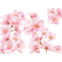 Clearance Kneipp Soft Skin Douchefoam 200 ML