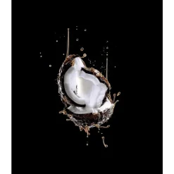 Hot L'Oréal Paris Elvive Extraordinary Oil Haarmasker 300 ML