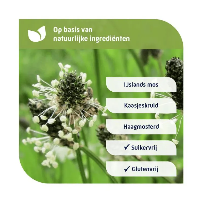 Best Natterman Direct Voor Alle Hoest Suikervrij Siroop 120ML