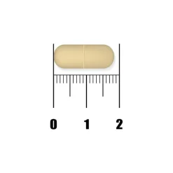 Discount New Nordic Active Liver Tabletten