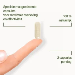 Sale Nupure Probaflor Max Spektrum 30