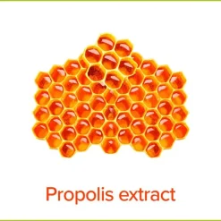 Palmolive Hygiëne Plus Family Antibacteriële Vloeibare Handzeep 300 ML