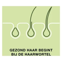 New Priorin 60 Capsules Met Biotine Voor Sterk En Vol Haar Van Binnenuit