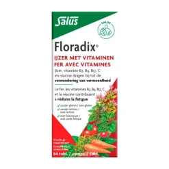 Best Salus Floradix IJzer Tabletten