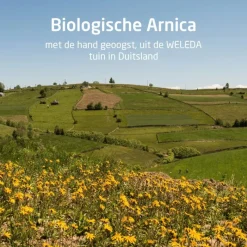 Online Weleda Arnica Sport Douchegel 200 ML