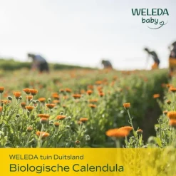 Weleda Baby Calendula Bodycrème