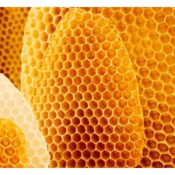 Outlet Weleda Cold Cream 30 ML